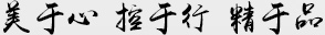 美于心，控于行，精于品